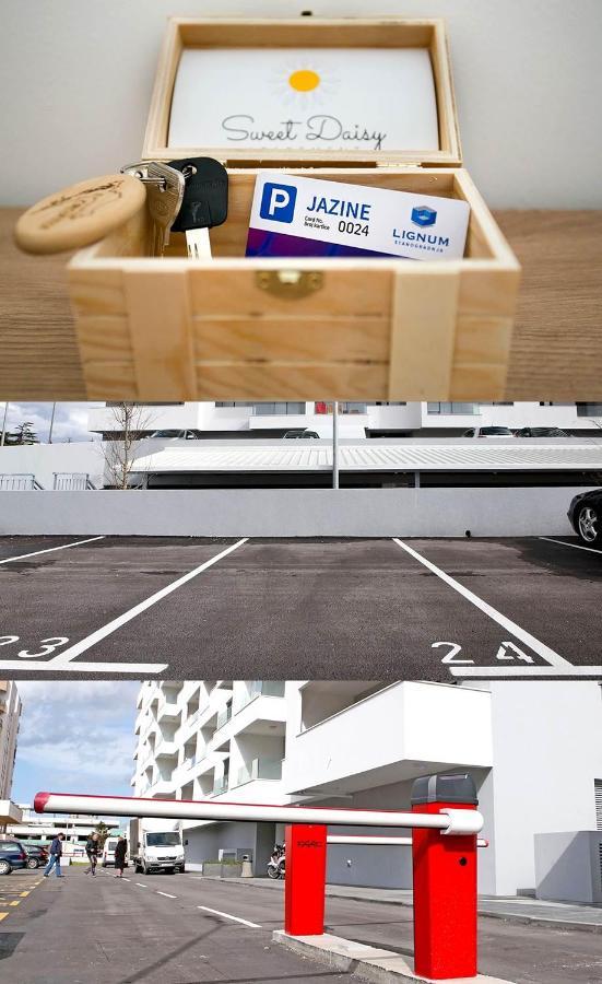 Apartment Sweet Daisy With Parking 扎达尔 外观 照片