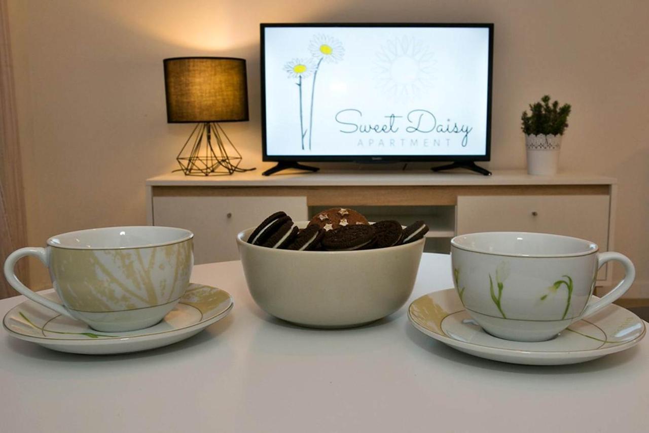Apartment Sweet Daisy With Parking 扎达尔 外观 照片